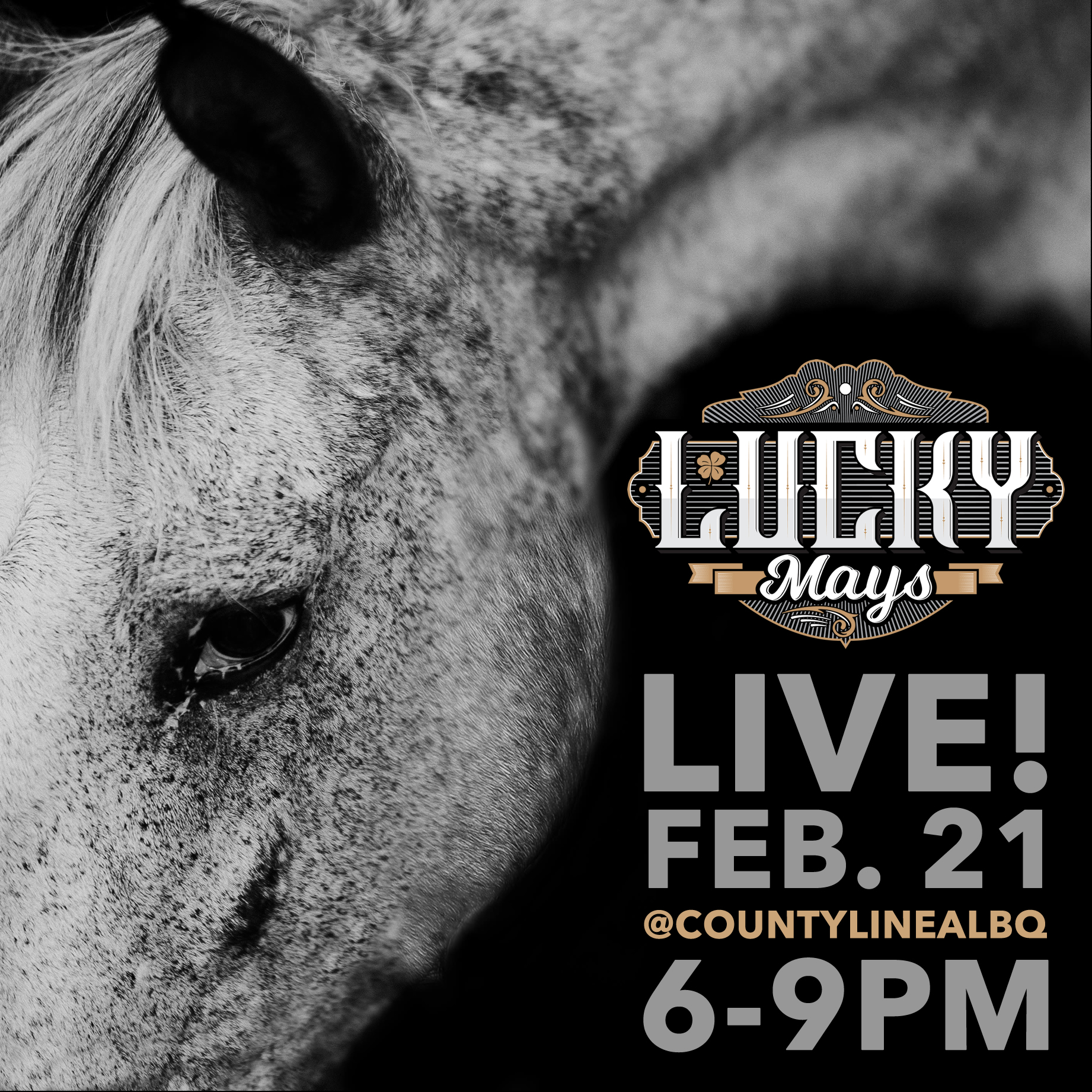 LUCKY MAYS COUNTY LIINE